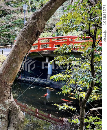 赤い橋の池の鯉 108685578