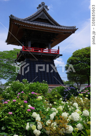 埼玉県熊谷市永井太田 妻沼のあじさい寺といわれる能満山能護寺の境内の紫陽花やアナベルと鐘楼 埼玉県熊谷市永井太田 妻沼のあじさい寺といわれる能満山能護寺の境内の紫陽花やアナベルと鐘楼 108685603