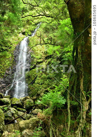宮ノ瀬の滝　【和歌山県田辺市本宮町】 108685695