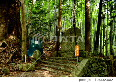 熊野古道　大門坂(多富気王子)　【和歌山県東牟婁郡那智勝浦町】 108685882