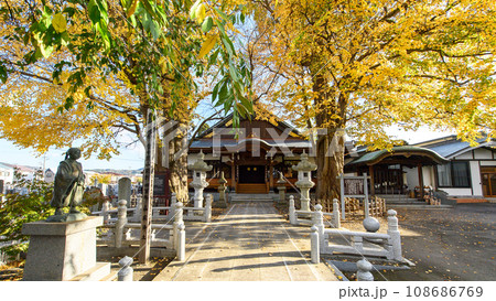 美しい夫婦カツラの黄葉 盛岡市円光寺 美しい夫婦カツラの黄葉 盛岡市円光寺 108686769