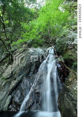 鷲の川の滝 【和歌山県日高郡日高川町】 鷲の川の滝 【和歌山県日高郡日高川町】 108686823