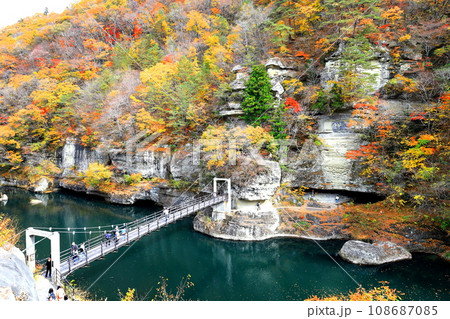 紅葉する塔のへつり/福島県南会津郡下郷町 紅葉する塔のへつり/福島県南会津郡下郷町 108687085