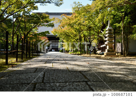 西山浄土宗総本山 光明寺(御影堂) 【京都府長岡京市】 西山浄土宗総本山 光明寺(御影堂) 【京都府長岡京市】 108687101