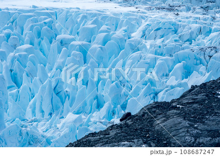 サウスジョージア島　雪山 108687247