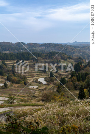 日本の原風景秋の星峠の棚田 108687933