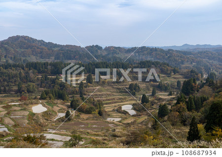 日本の原風景秋の星峠の棚田 日本の原風景秋の星峠の棚田 108687934