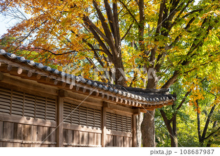 Korean Traditional Building in Secret Garden or Huwon of Changdeokgung Palace with ceautiful autumn foliage. It was used as a place of leisure by members of the royal family Korean Traditional Building in Secret Garden or Huwon of Changdeokgung Palace with ceautiful autumn foliage. It was used as a place of leisure by members of the royal family 108687987