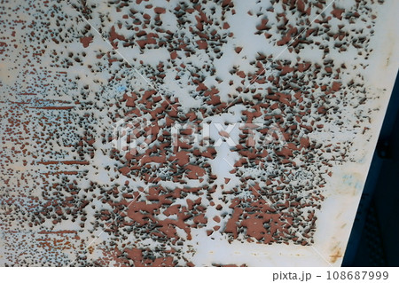 剥離した塗膜(道路橋)イメージ 剥離した塗膜(道路橋)イメージ 108687999