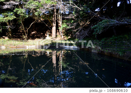 鉾田市・厳島神社 #50 鉾田市・厳島神社 #50 108690610