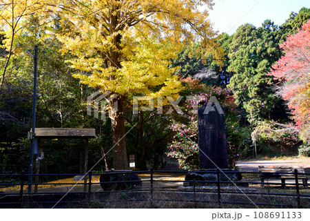 鉾田市・厳島神社　＃62 108691133