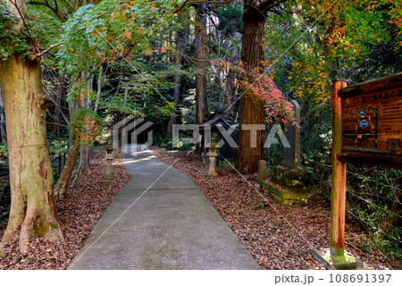 鉾田市・厳島神社 #77 鉾田市・厳島神社 #77 108691397