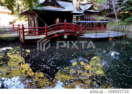 鉾田市・厳島神社 #83 鉾田市・厳島神社 #83 108691710