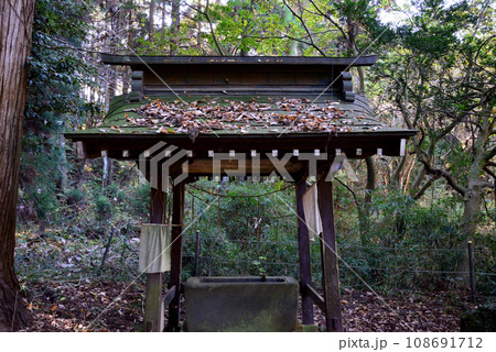 鉾田市・厳島神社 #85 鉾田市・厳島神社 #85 108691712