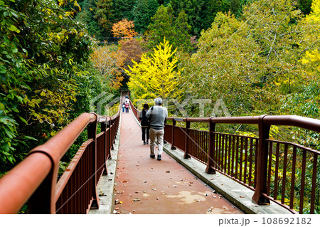 東京都あきる野市　秋川渓谷の石舟橋と紅葉 108692182