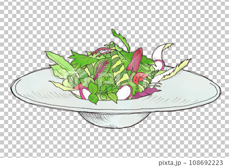 手繪插畫素材：水彩新鮮蔬菜沙拉 108692223