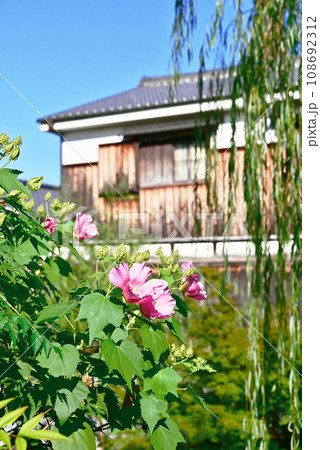 伏見酒蔵風景 108692312