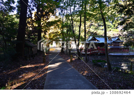 鉾田市・厳島神社 #91 鉾田市・厳島神社 #91 108692464