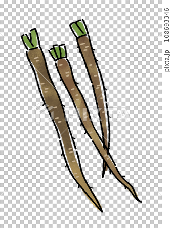 Burdock root Burdock root 108693346