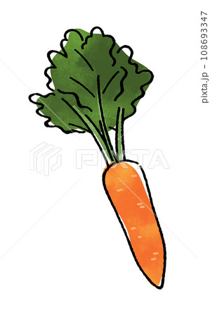 にんじん にんじん 108693347