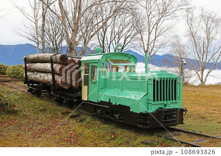 長野・しらびそ高原 旧藤山森林鉄道 保存車両 02 長野・しらびそ高原 旧藤山森林鉄道 保存車両 02 108693826