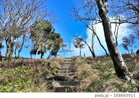 綿向山山頂(大嵩神社鳥居) 【滋賀県蒲生郡日野町】 綿向山山頂(大嵩神社鳥居) 【滋賀県蒲生郡日野町】 108693911