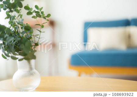 テーブルに置かれた観葉植物 テーブルに置かれた観葉植物 108693922