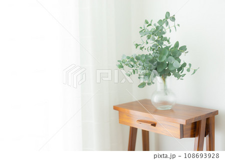 テーブルに置かれた観葉植物 108693928