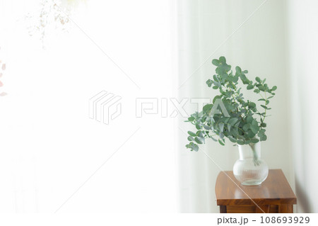 テーブルに置かれた観葉植物 108693929