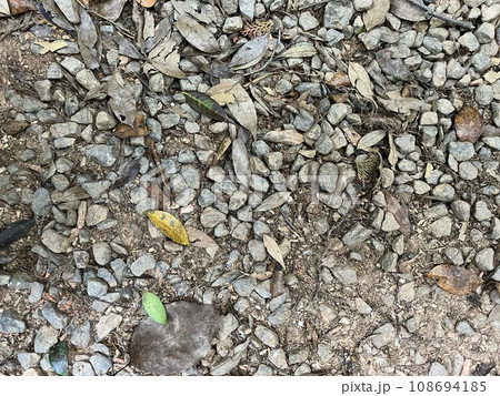 地面 地面 108694185