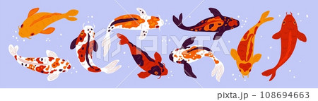 Cartoon koi fish. Different colors pond Japanese carps top view. Underwater decorative inhabitant. Asian spotted goldfish. Chinese water animals swimming in aquarium. Garish vector set 108694663