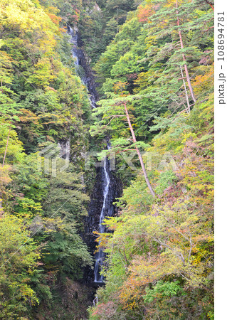 不動の滝　不動大橋からの眺め　紅葉の季節　　　 108694781