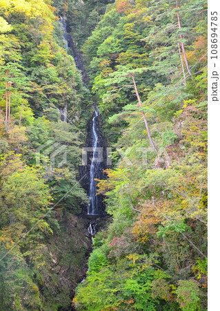 不動の滝　不動大橋からの眺め　紅葉の季節　　　 108694785