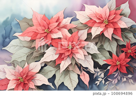 Poinsettia plant watercolor illustration background for Christmas event. Poinsettia plant watercolor illustration background for Christmas event. 108694896
