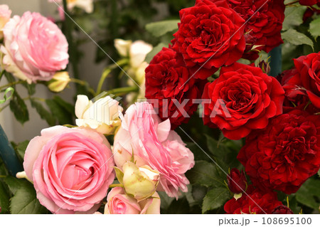 家庭ガーデニング 108695100