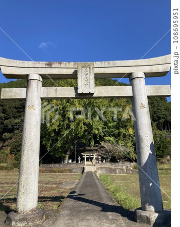 鳥居から伸びる参道 鳥居から伸びる参道 108695951