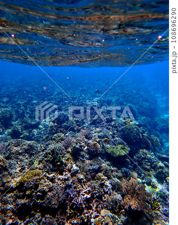 沖縄・慶良間諸島・座間味・安室島シュノーケリング 沖縄・慶良間諸島・座間味・安室島シュノーケリング 108696290