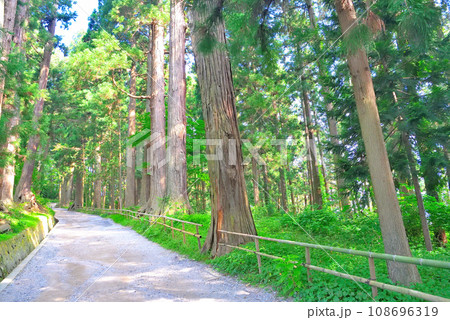 東北・平泉・中尊寺、月見坂の入口付近の風景、坂をゆっくり登るイメージ・岩手県平泉町(5) 東北・平泉・中尊寺、月見坂の入口付近の風景、坂をゆっくり登るイメージ・岩手県平泉町(5) 108696319