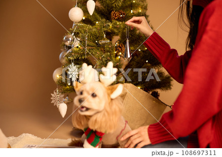 ペット犬と過ごすクリスマス ペット犬と過ごすクリスマス 108697311