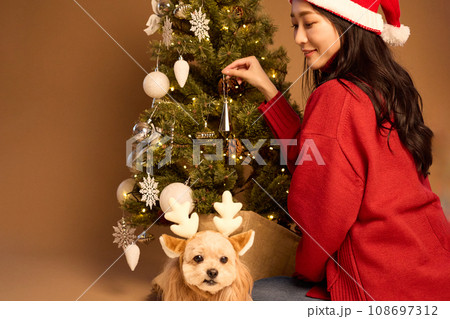 ペット犬と過ごすクリスマス ペット犬と過ごすクリスマス 108697312