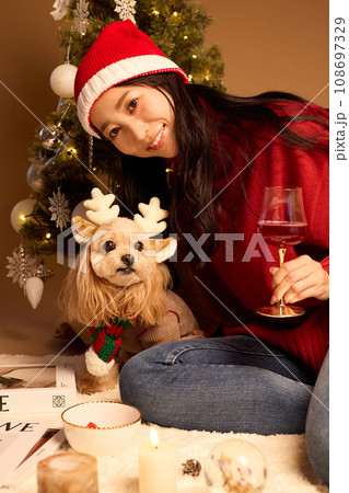 ペット犬と過ごすクリスマス 108697329