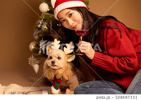 ペット犬と過ごすクリスマス 108697331