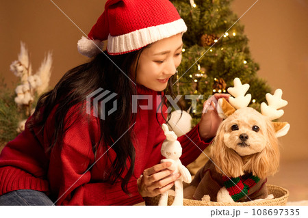 ペット犬と過ごすクリスマス 108697335