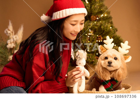 ペット犬と過ごすクリスマス ペット犬と過ごすクリスマス 108697336