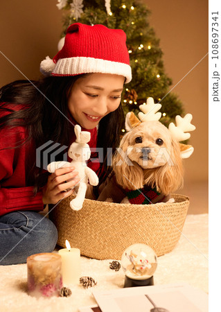 ペット犬と過ごすクリスマス 108697341