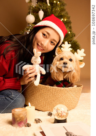 ペット犬と過ごすクリスマス ペット犬と過ごすクリスマス 108697342
