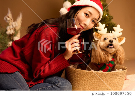 ペット犬と過ごすクリスマス ペット犬と過ごすクリスマス 108697350