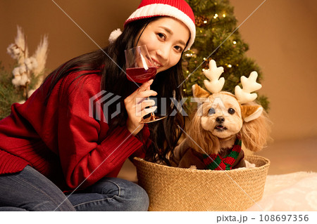 ペット犬と過ごすクリスマス 108697356