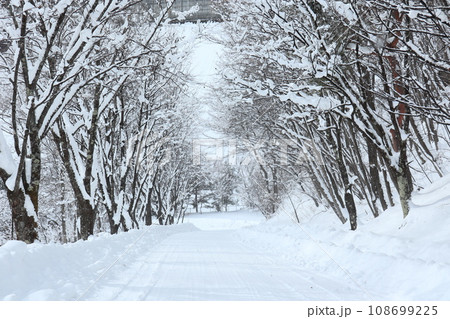 雪がいっぱい積もった下り坂の道 108699225