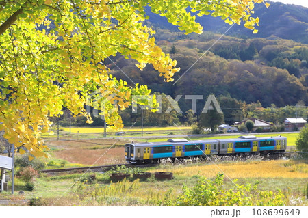 水郡線「陽ざしを浴びた銀杏と田舎の景色を走る列車」 水郡線「陽ざしを浴びた銀杏と田舎の景色を走る列車」 108699649